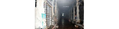 திருவிற்குடி - சாலந்தர்அரி திருமந்திரம்